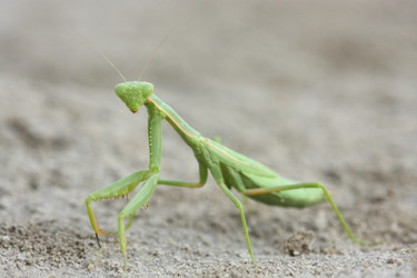 Similar image 605473