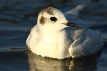 Similar image 605475