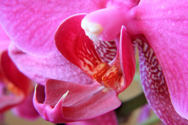 Similar image 605501