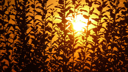 Similar image 605528