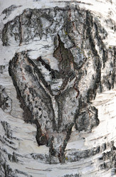 Similar image 605529