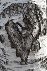 Similar image 605530