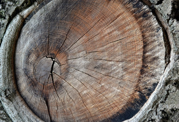 Similar image 605533