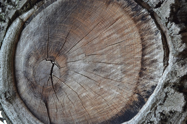 Similar image 605534