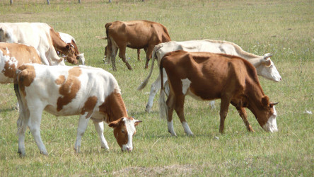 Similar image 605543