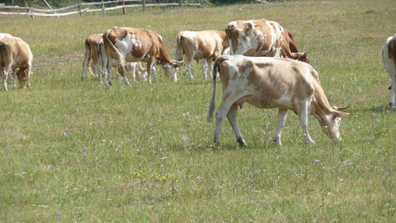 Similar image 605544