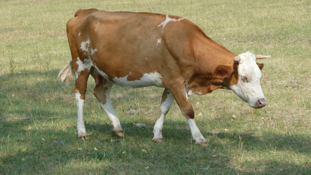 Similar image 605545