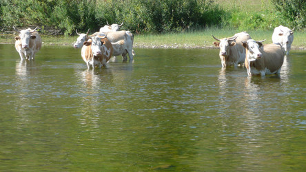 Similar image 605548