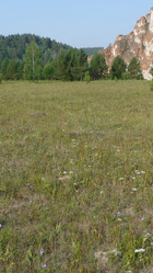 Similar image 605551