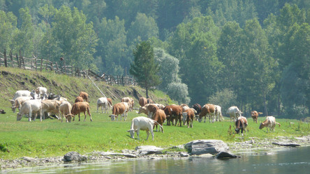 Similar image 605555