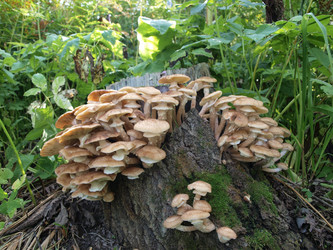 Similar image 605574