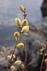 Similar image 605579