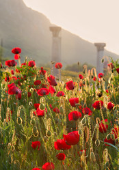 Similar image 605601