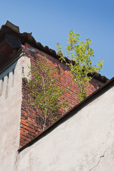 Similar image 605606