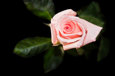 Similar image 605607