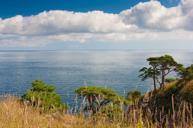 Similar image 605786