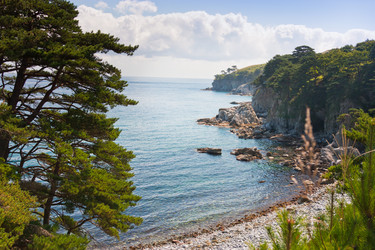 Similar image 605789