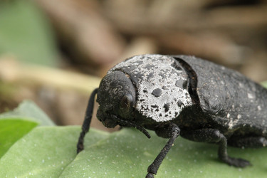 Similar image 605803