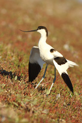 Similar image 605829