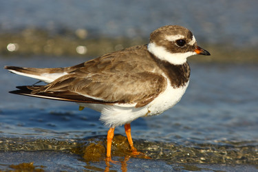 Similar image 605832