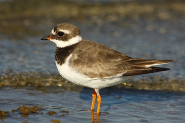 Similar image 605833