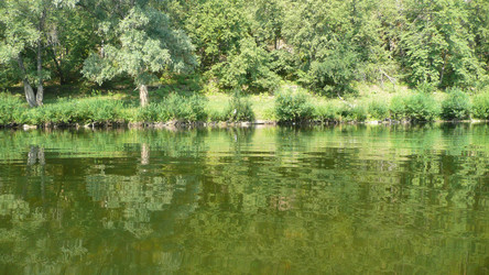 Similar image 605922