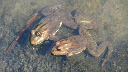 Similar image 606002