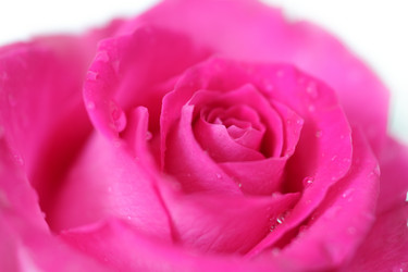 Similar image 606063