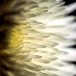 Similar image 606069