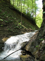 Similar image 606096