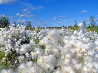 Similar image 606139