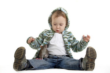 Similar image 606141