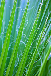 Similar image 606145