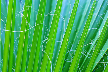 Similar image 606146