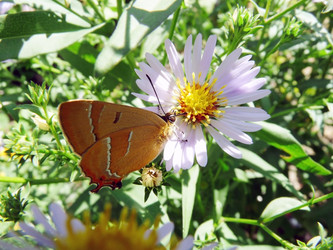 Similar image 606154