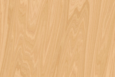 Similar image 606169