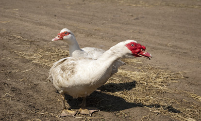 Similar image 606191