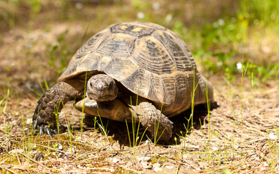 Similar image 606279