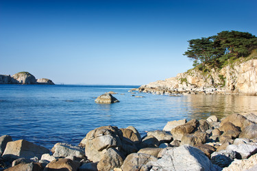 Similar image 606435