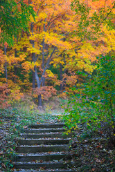 Similar image 606447