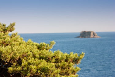 Similar image 606492