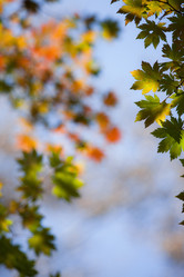 Similar image 606502