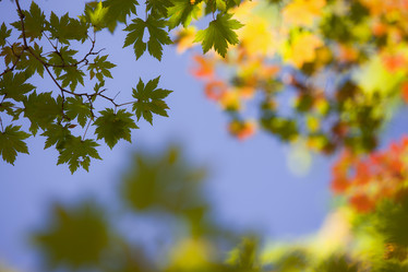 Similar image 606505