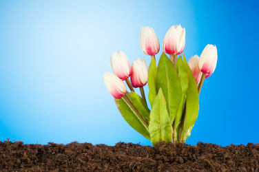 Similar image 606524