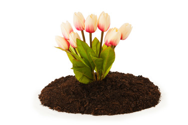 Similar image 606527