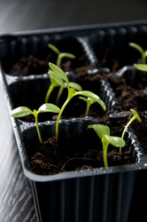 Similar image 606598