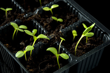 Similar image 606602