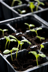 Similar image 606603