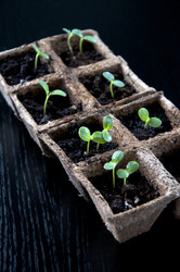 Similar image 606608