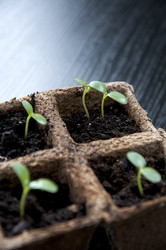 Similar image 606609